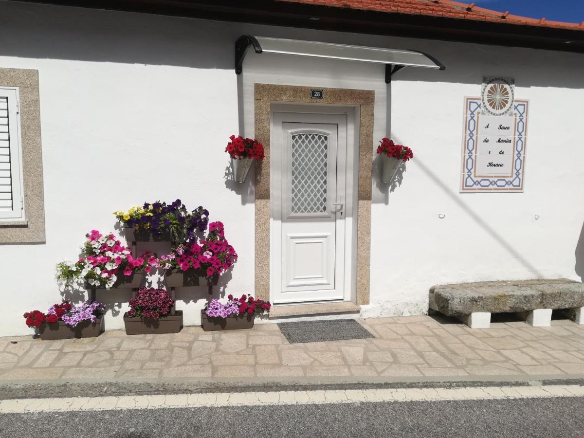 Pensjonat A Tasca Vila Real Zewnętrze zdjęcie